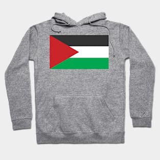 Palestine Flag Hoodie